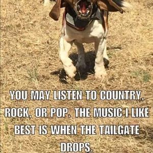 Meet your Posher, Rembi